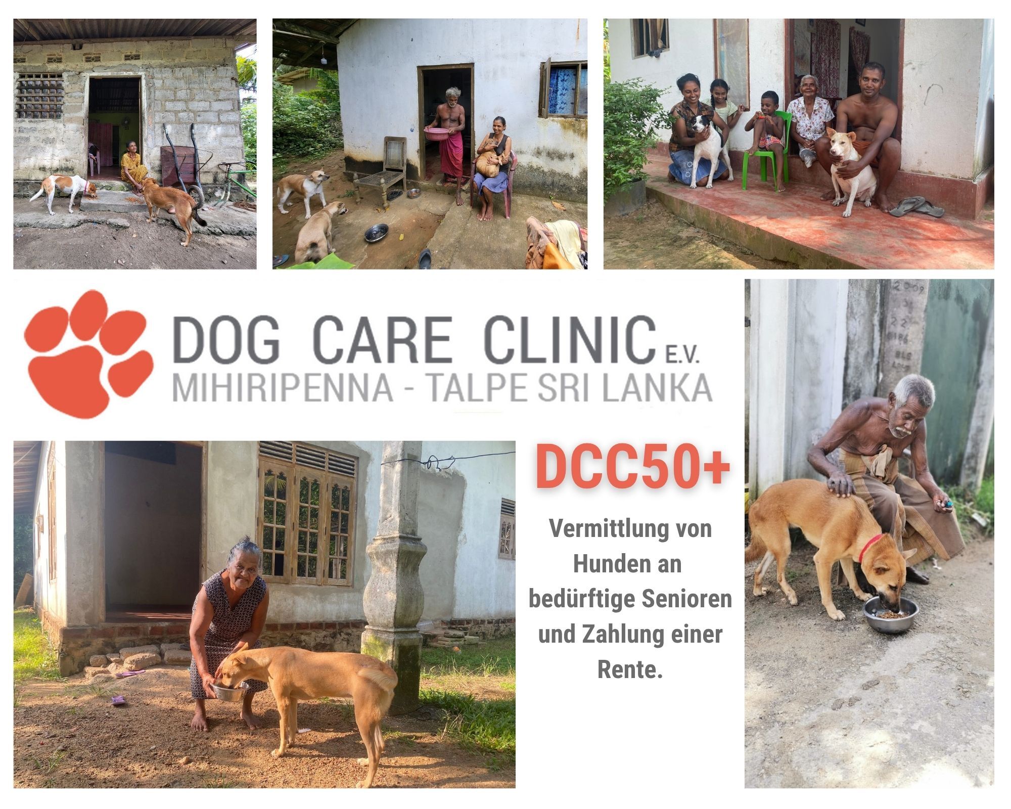 Image for DCC 50+ Programm