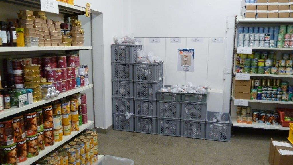 Additional Photo 3