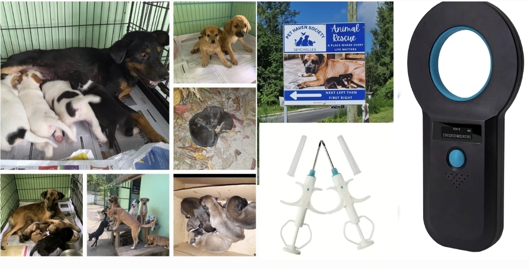 Image for Mikrochip-Datenbank für Hunde auf den Seychellen