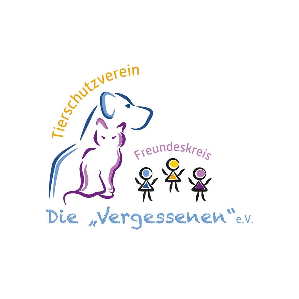 Image for Katzenasyl - eine Rettungsstation