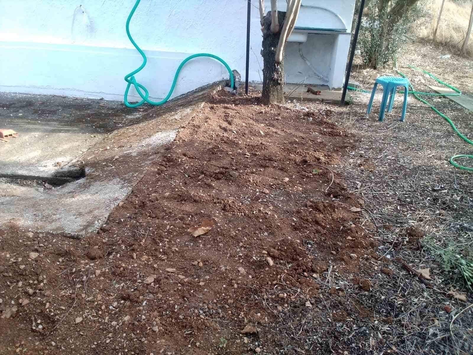 Additional Photo 2