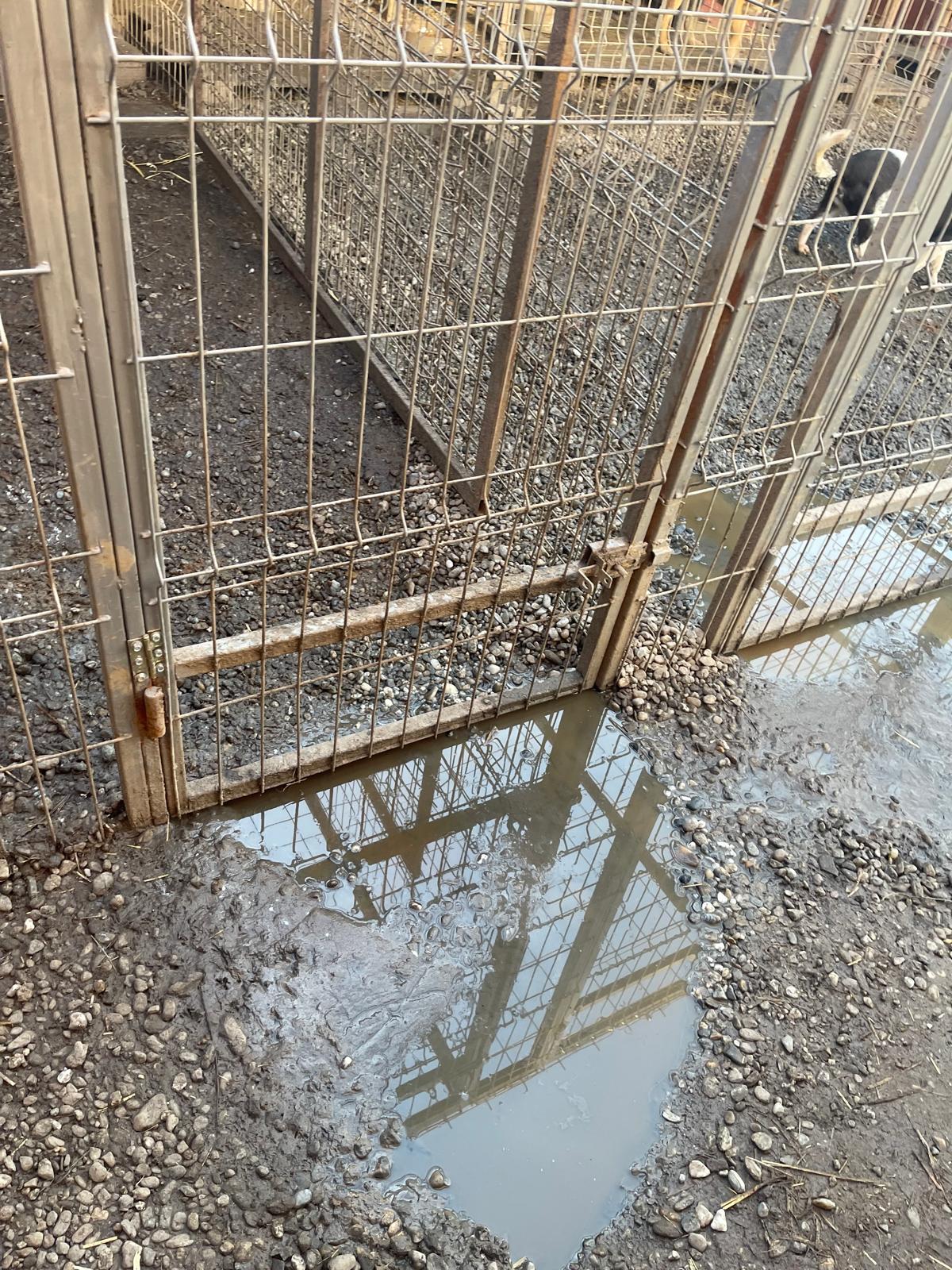Additional Photo 3