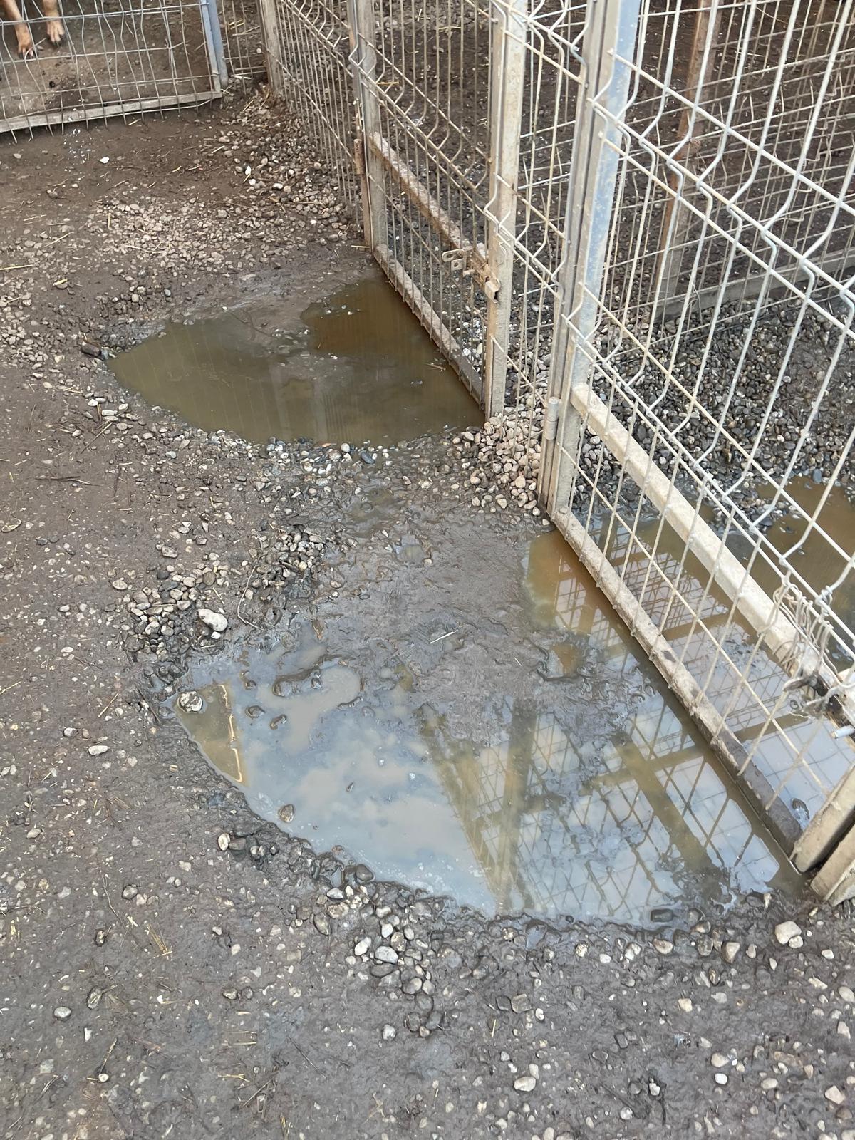 Image for Untergrunderneuerung im Shelter