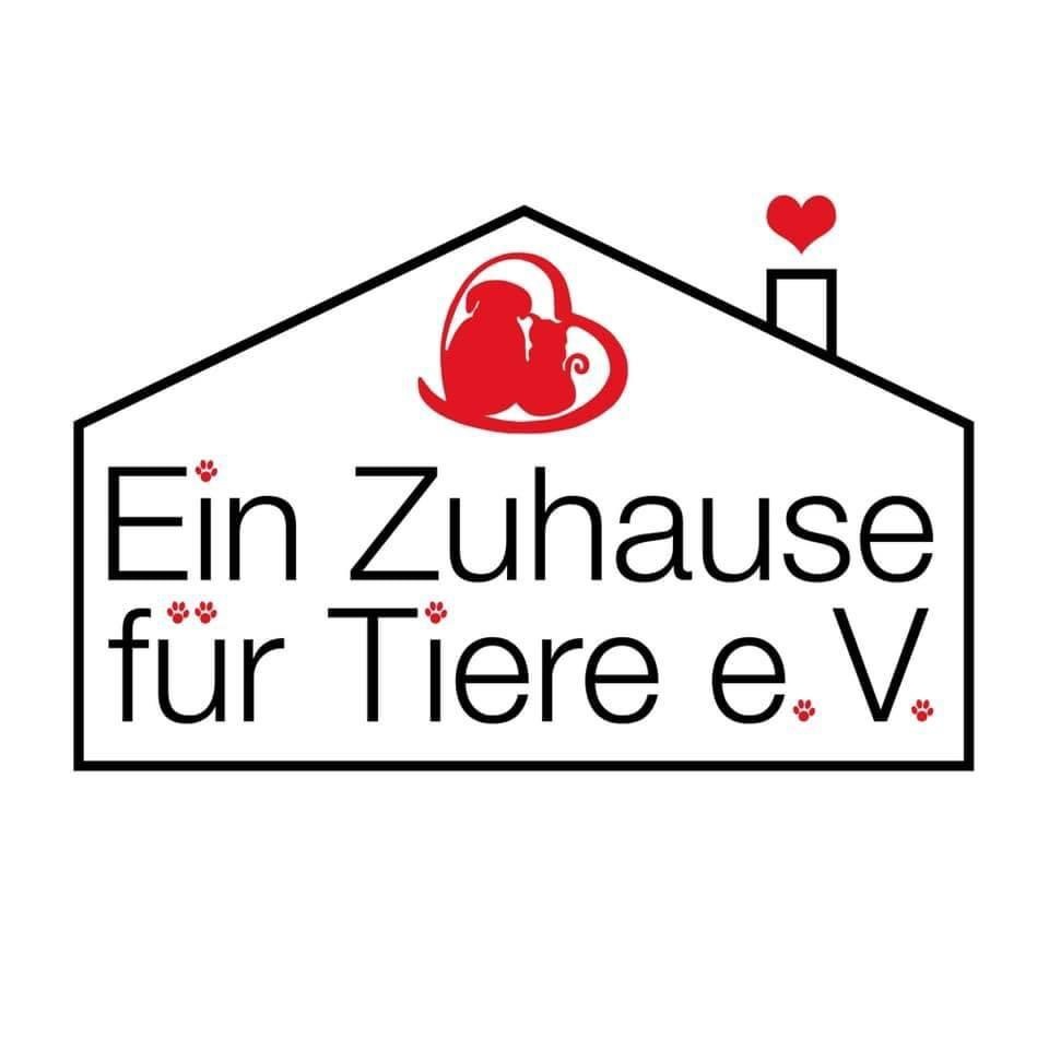Project Logo
