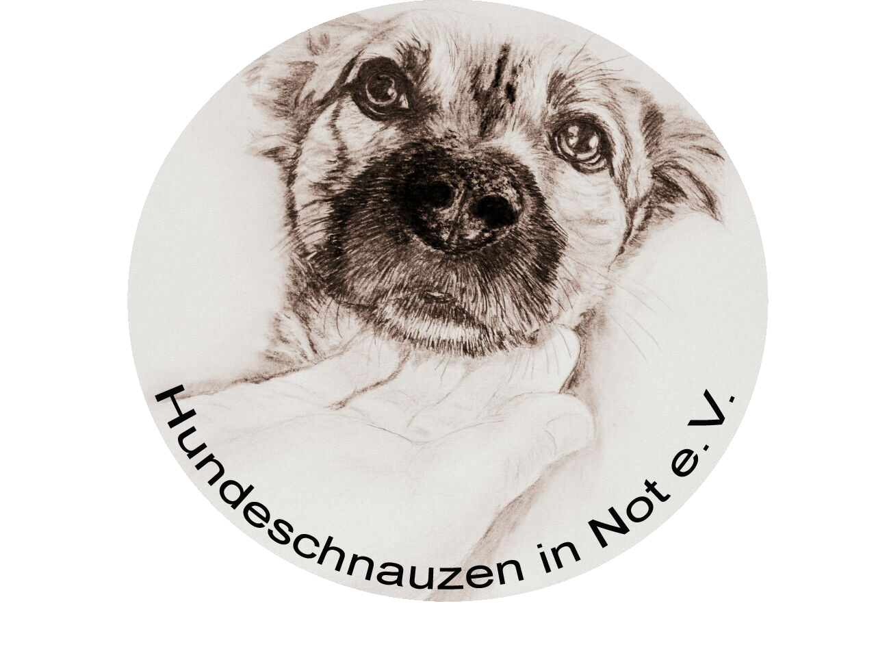 Project Logo