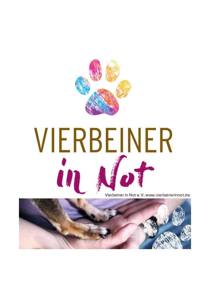 Image for 170 verlassene Hunde im Campurelu