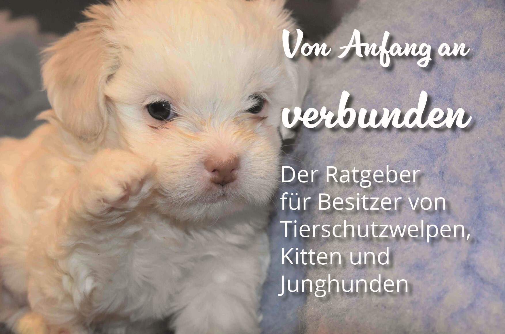 Image for Von Anfang an verbunden - der Ratgeber für neue Besitzer von Tierschutzwelpen, Kitten und Junghunden