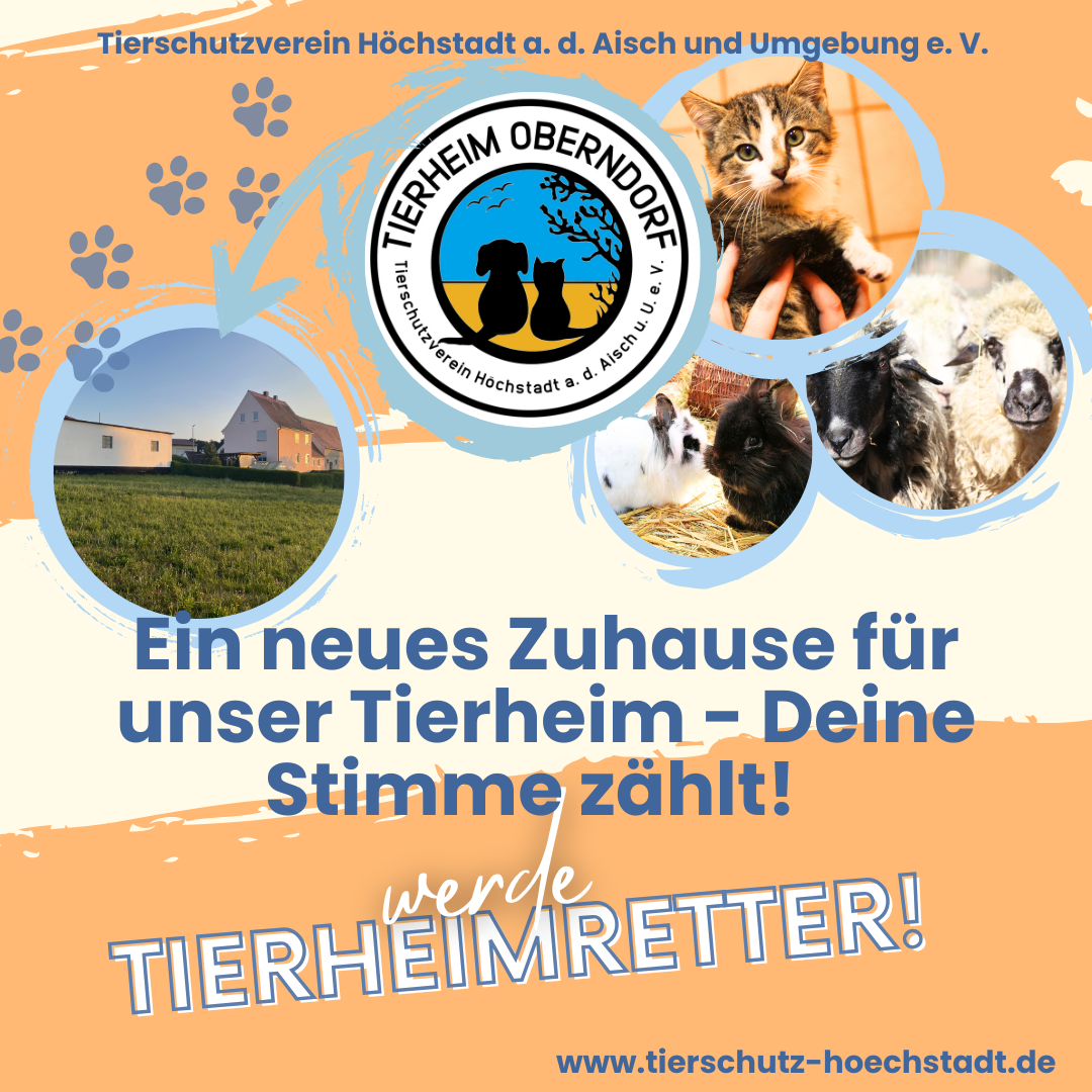 Image for Wenn ein Tierheim ein neues Zuhause braucht - Mit großen Schritten zum Neuanfang für Tiere in Not! 