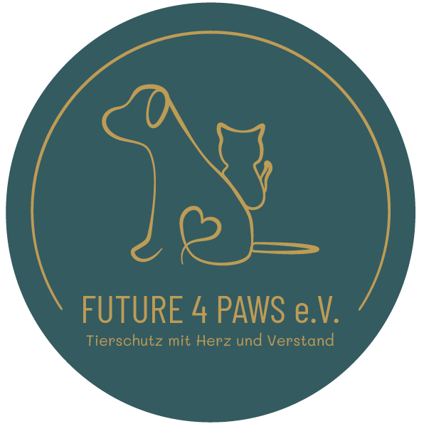 Project Logo