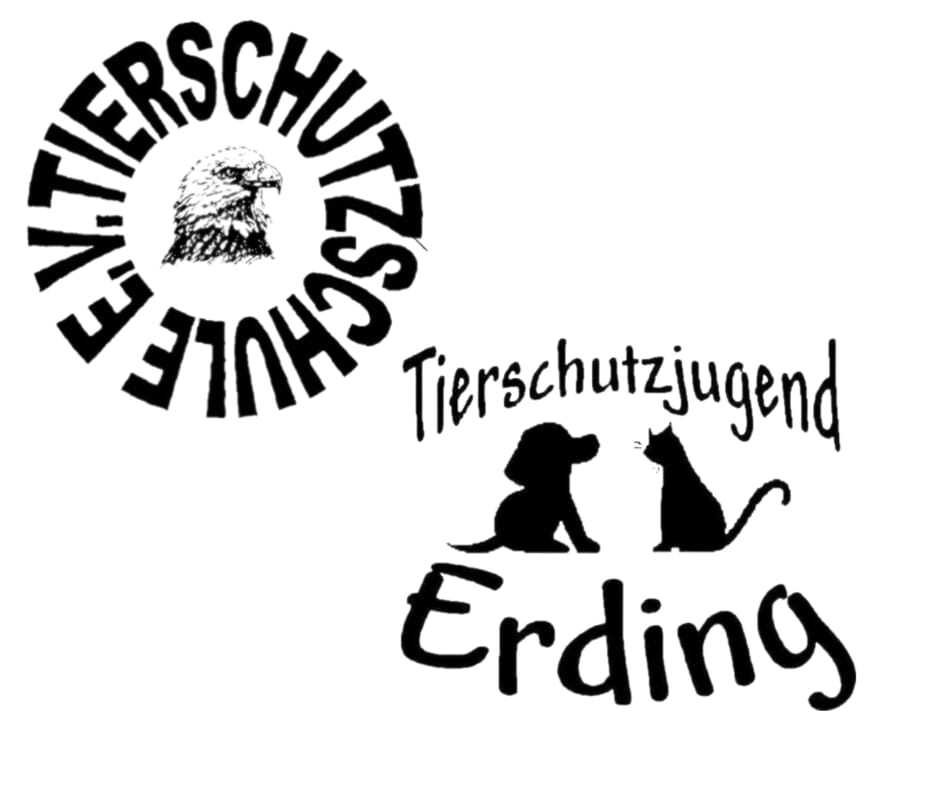 Project Logo