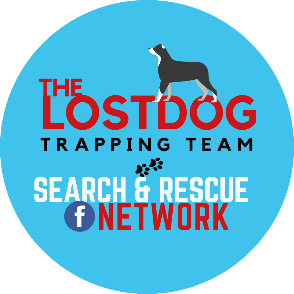 Image for Rescue, Recuperation and Re-homing of abandoned dogs.