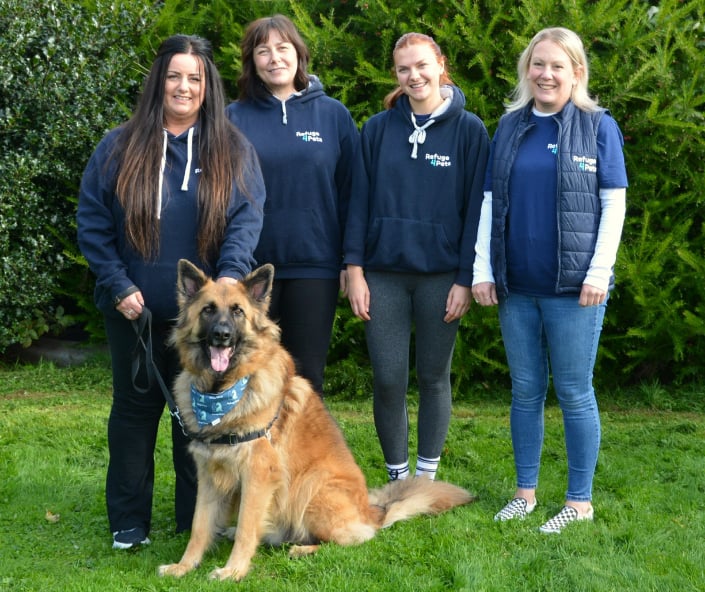 Image for Refuge4Pets Animal Fostering Service
