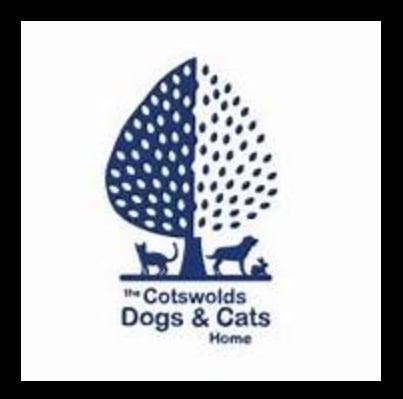 Project Logo