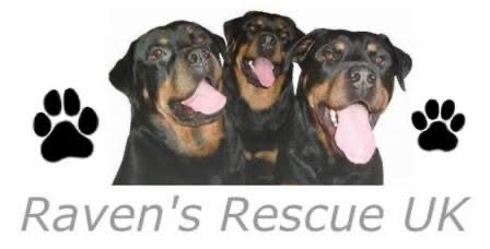 Image for Animal Well Being Initiative