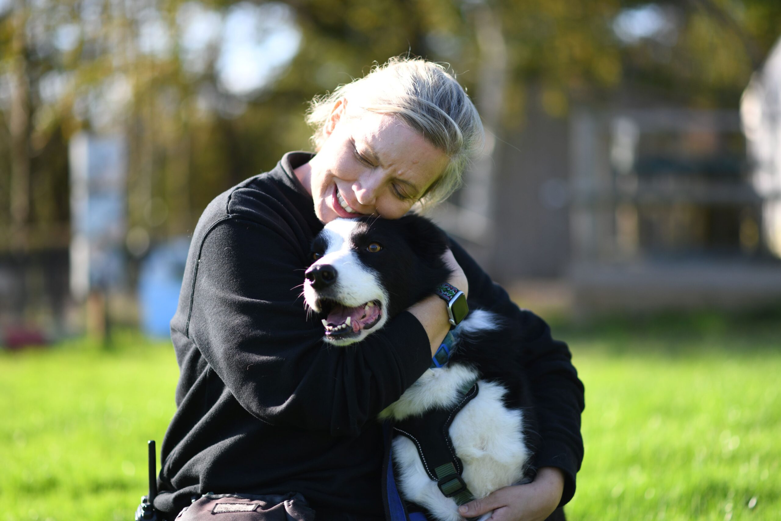 Image for Raystede's Pet Advice and Community Events (PACE)