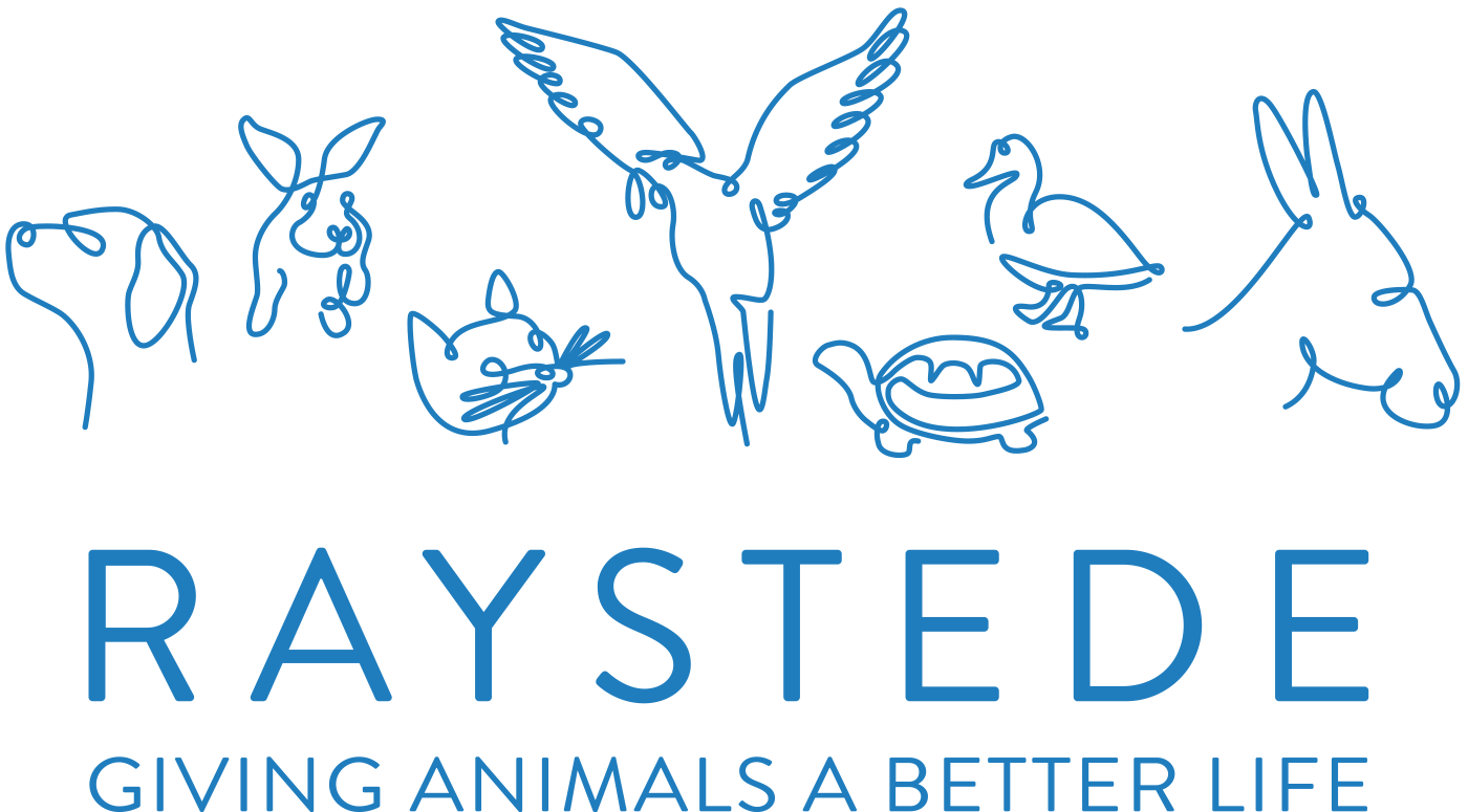 Project Logo