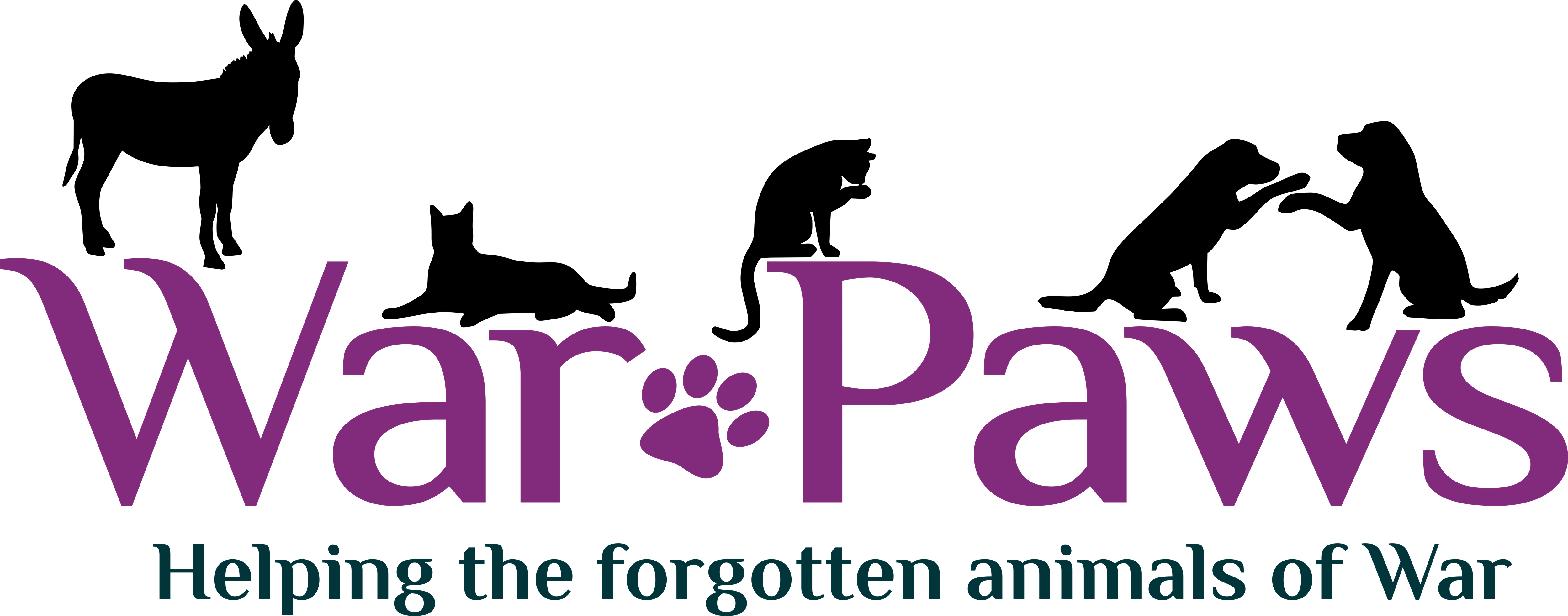 Image for Caring for Iraq's Strays