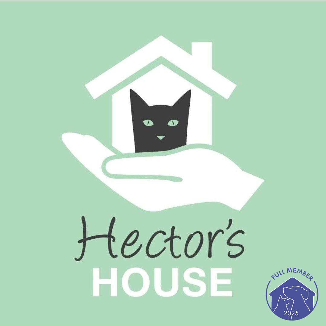 Project Logo
