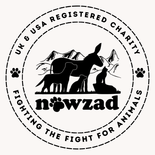 Project Logo