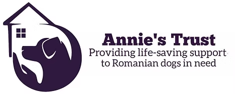 Project Logo