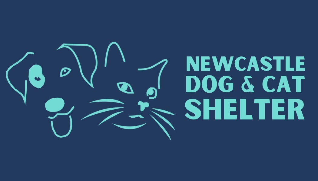 Project Logo