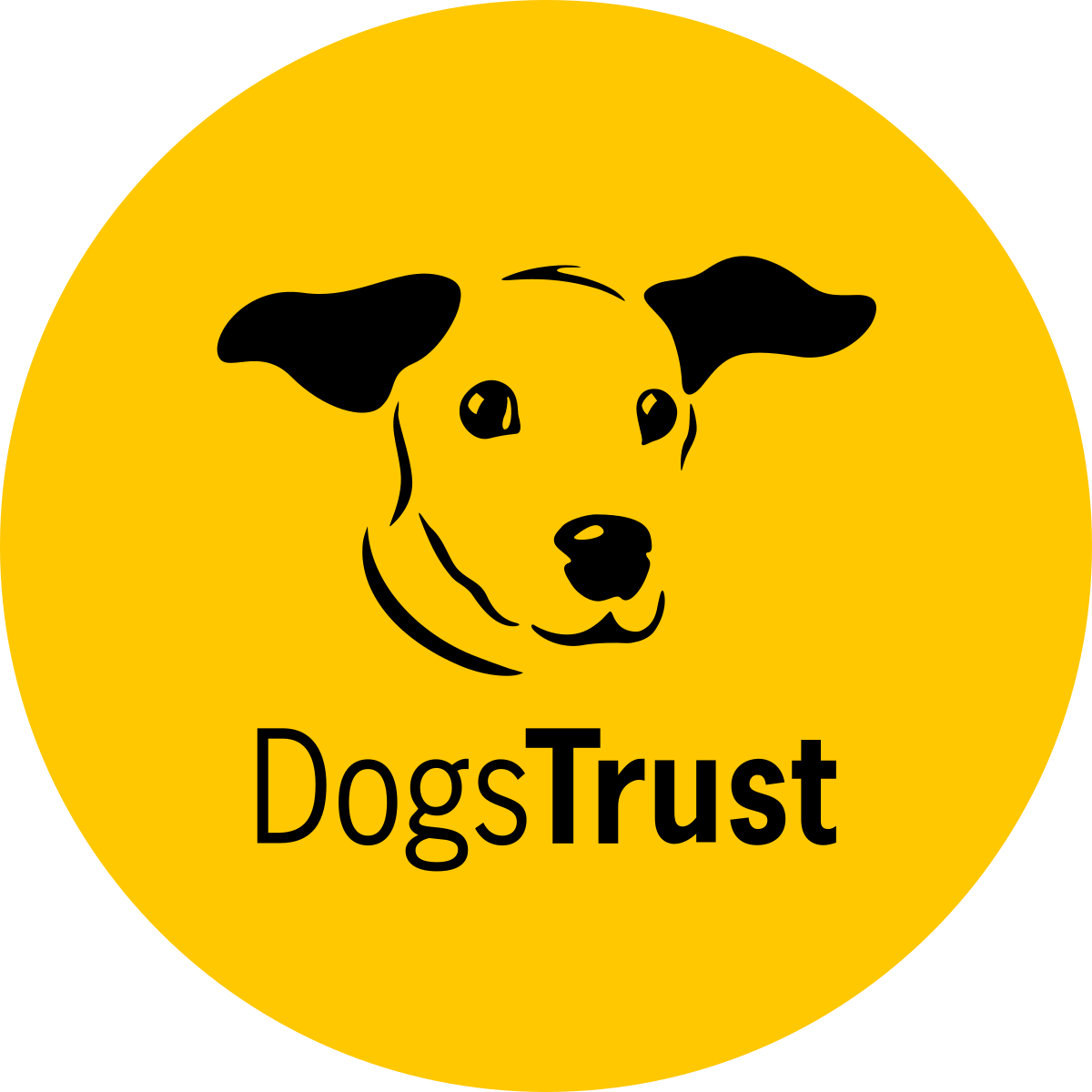 Project Logo
