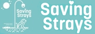 Project Logo