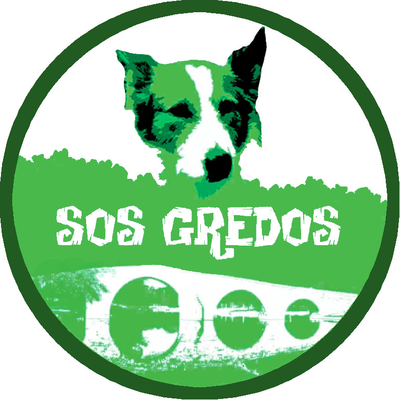 Project Logo