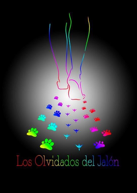 Image for GESTION COLONIAS FELINAS