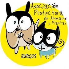 Project Logo