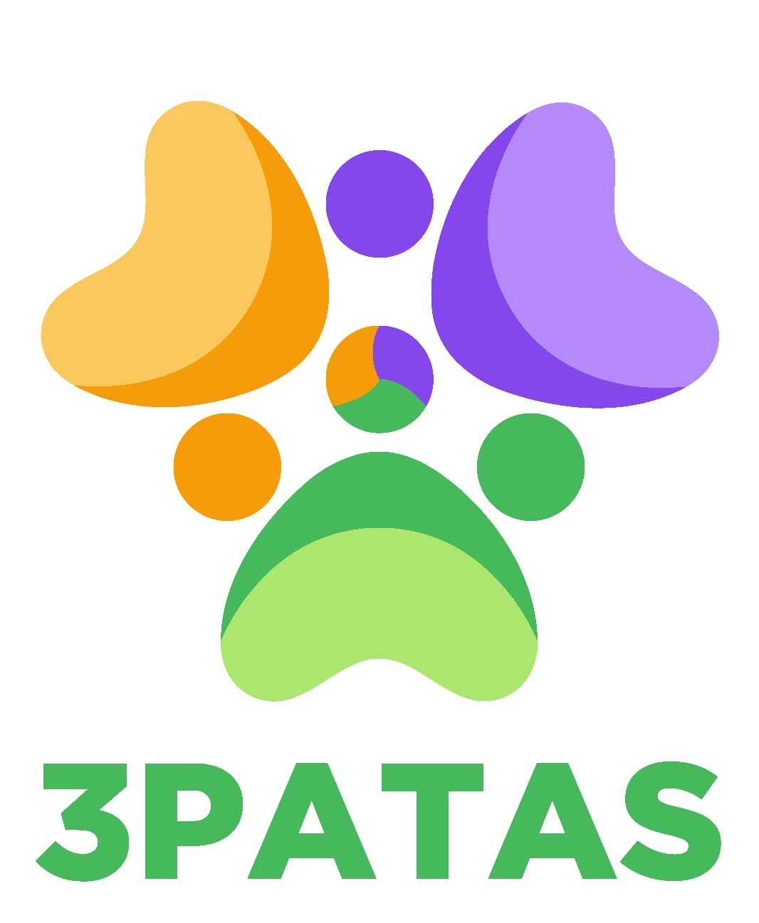 Project Logo