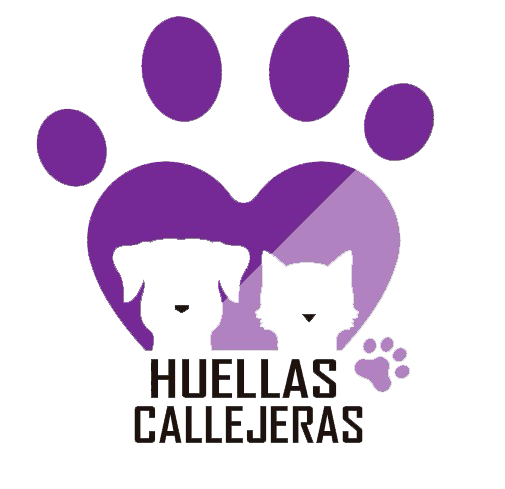 Image for Esterilizando Salvas Vidas
