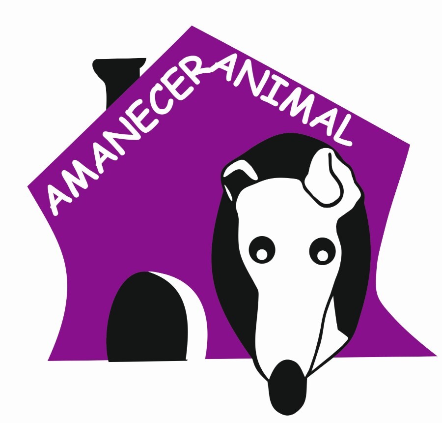 Project Logo