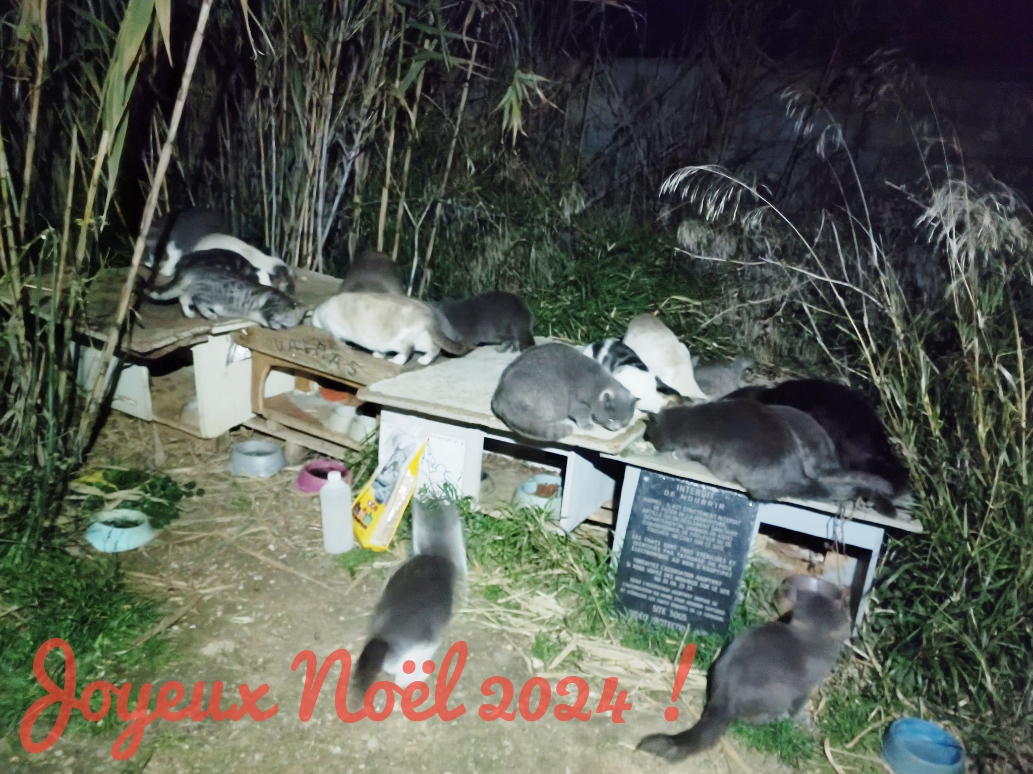 Additional Photo 4
