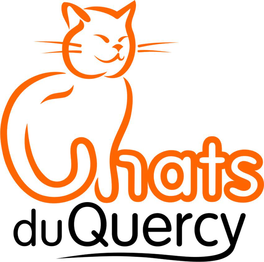 Project Logo