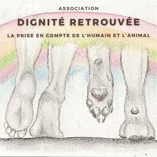 Image for LES GAMELLES DE LA DIGNITE