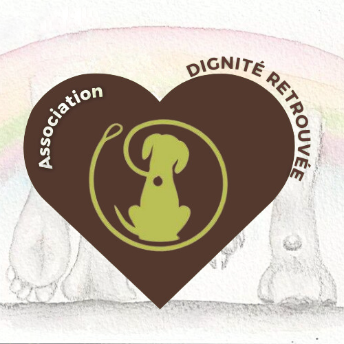 Project Logo