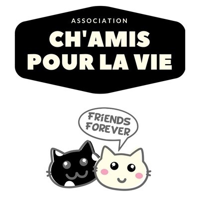 Project Logo