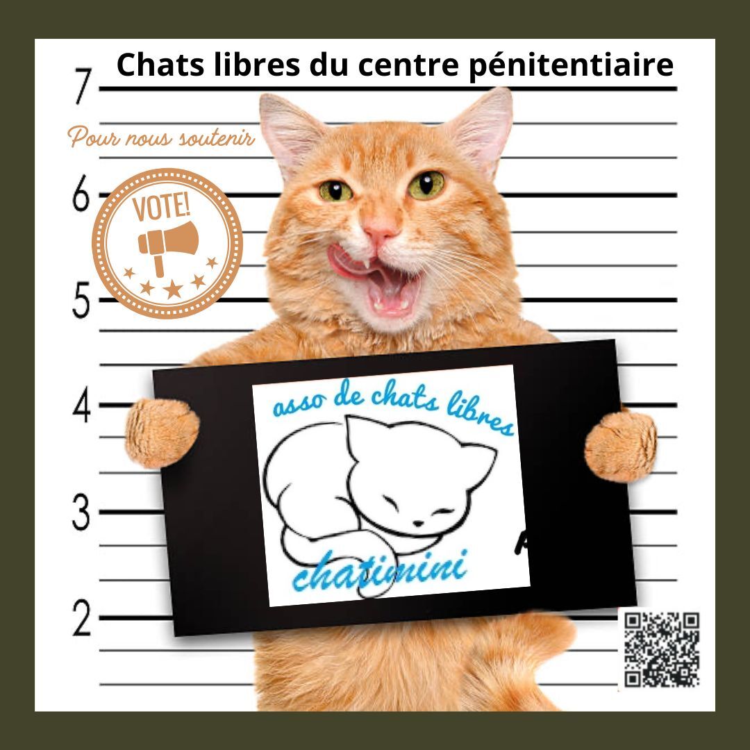 Image for Chats libres au centre pénitencier