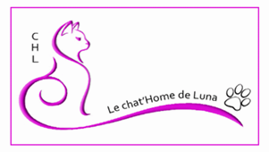 Project Logo