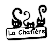 Project Logo