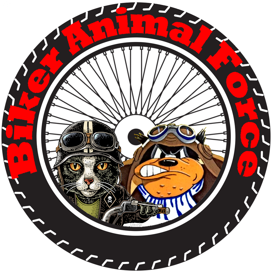 Image for Des motards pour ceux qui n’ont pas de voix