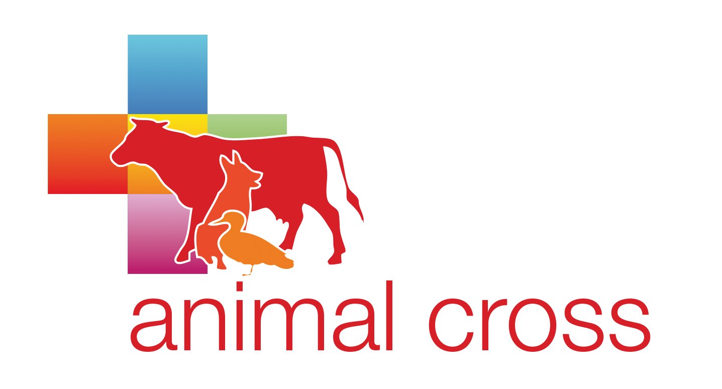 Project Logo