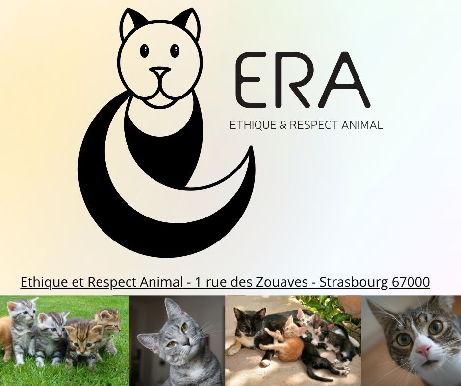 Image for DEVELOPPER, PERENNISER LE REFUGE ERA