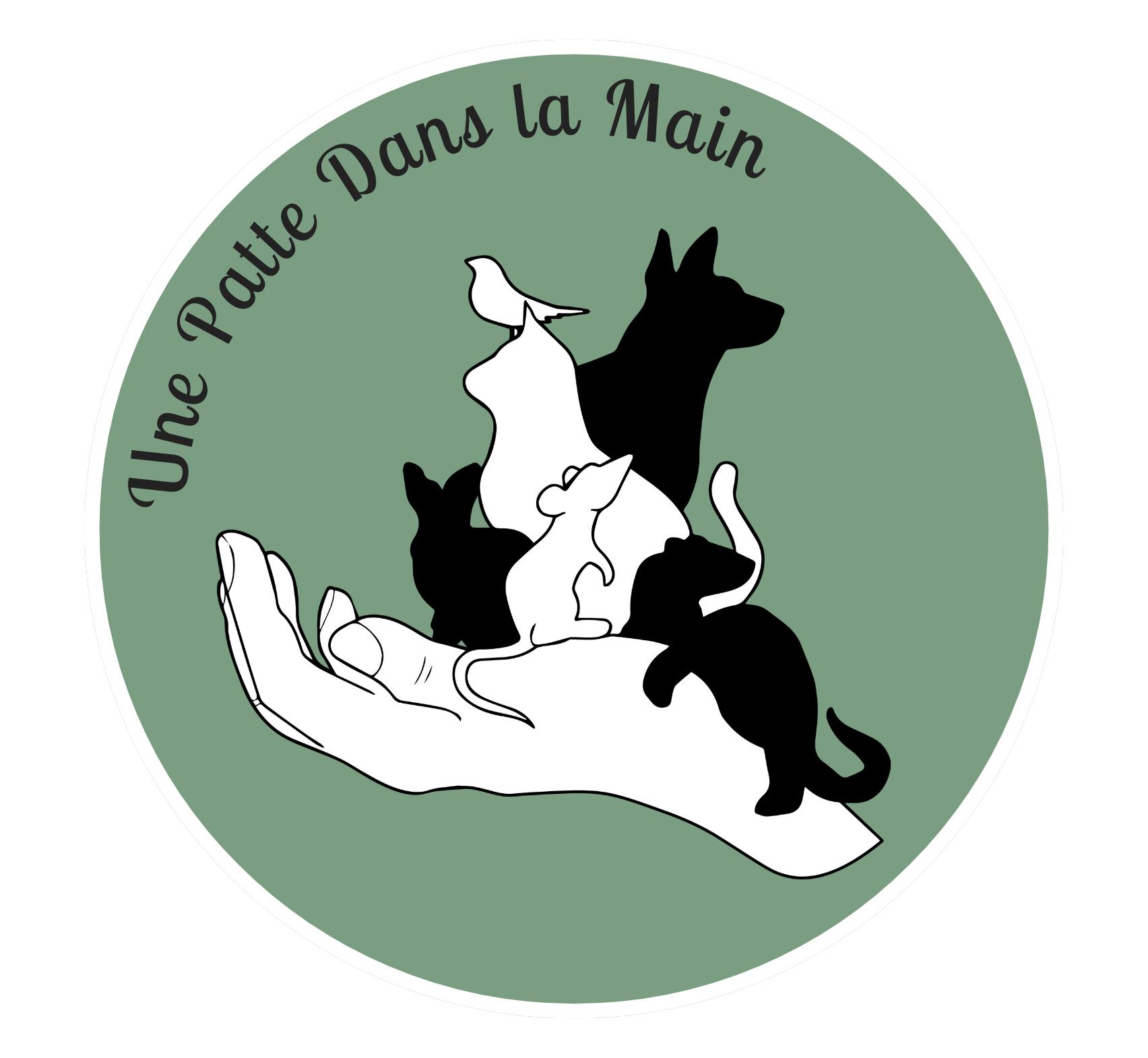 Project Logo