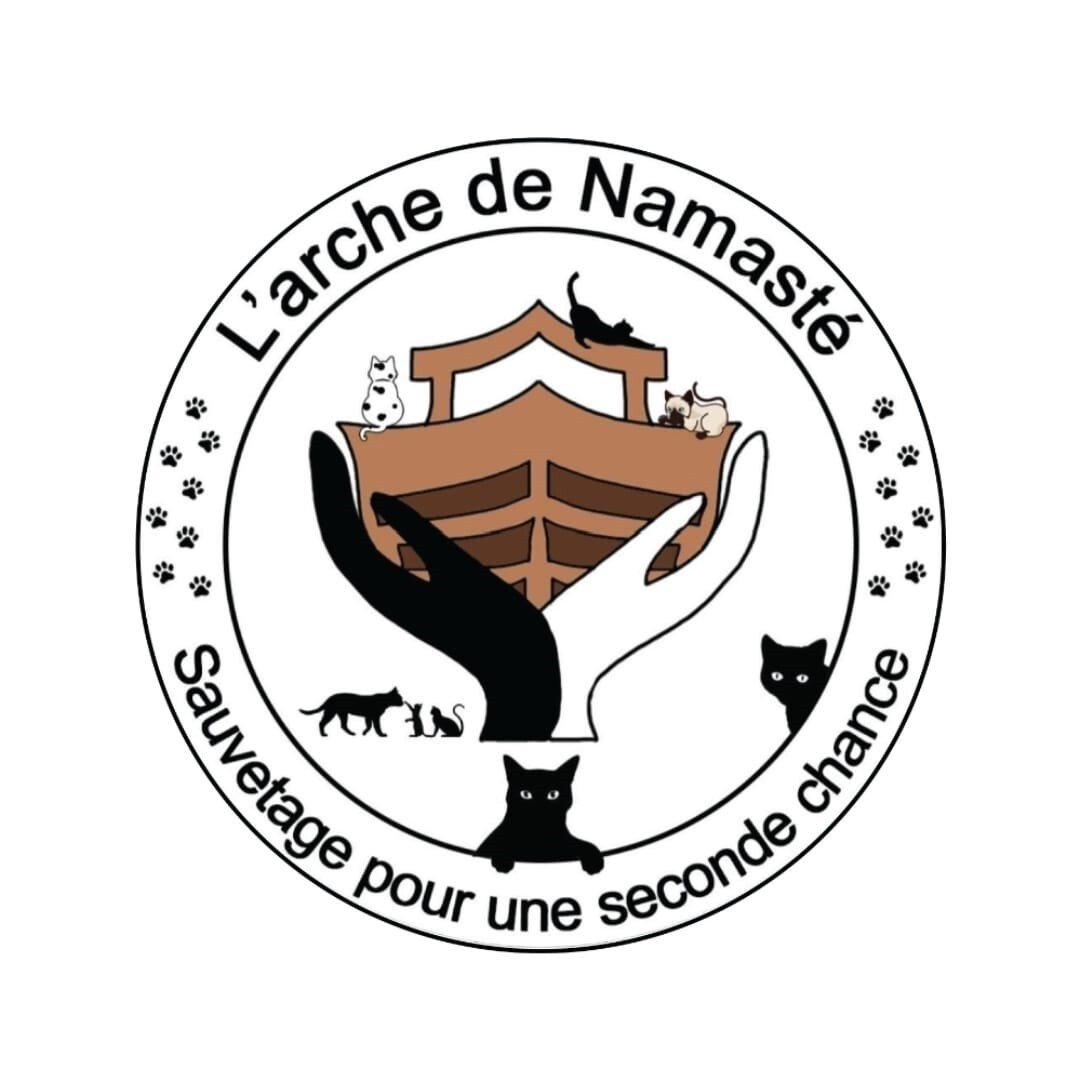 Image for Soutien vital pour L'arche de Namasté