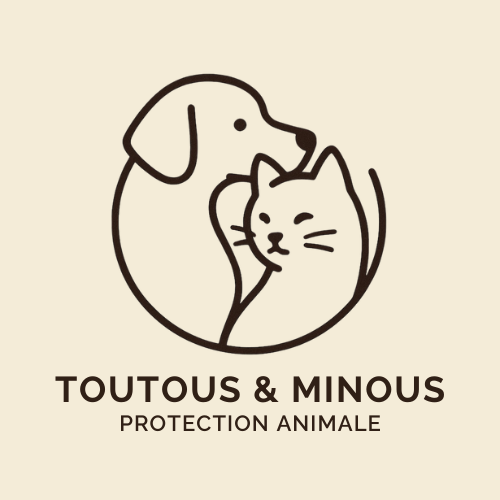 Project Logo