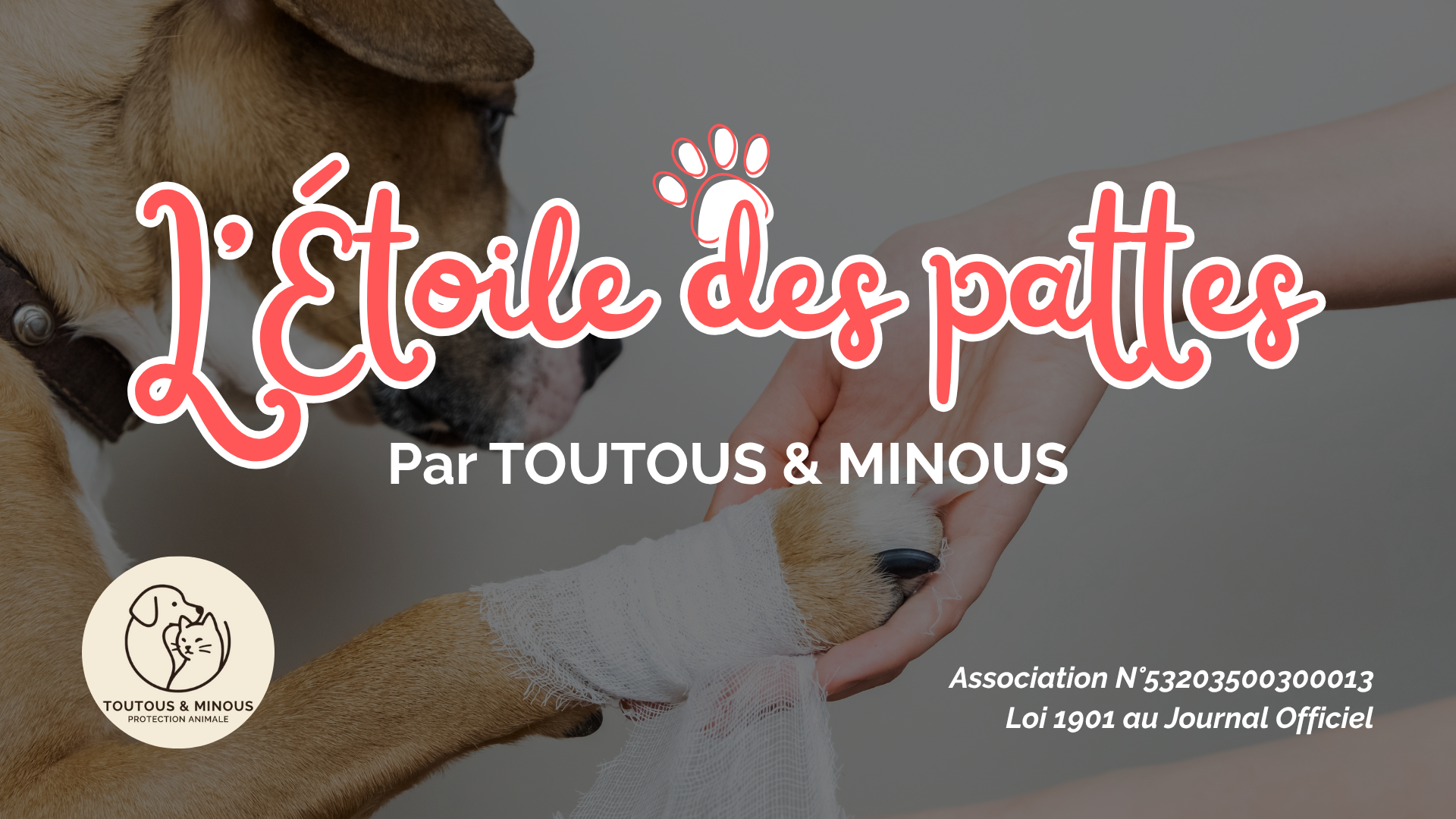 Image for L'Étoile des Pattes