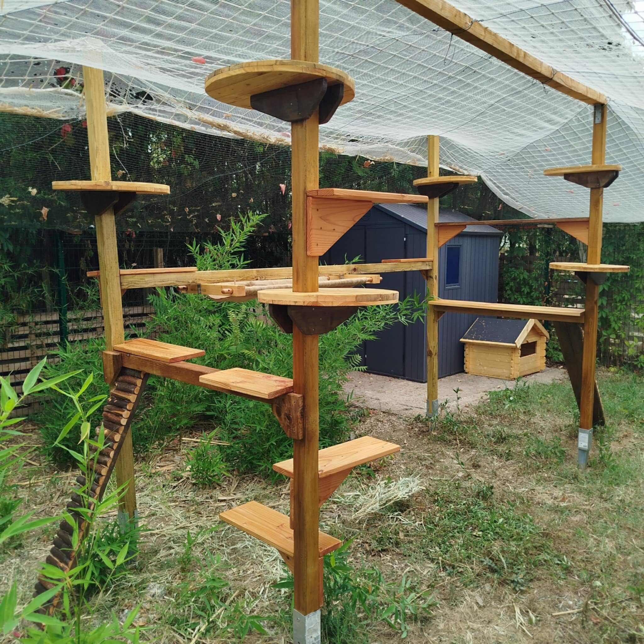 Additional Photo 4