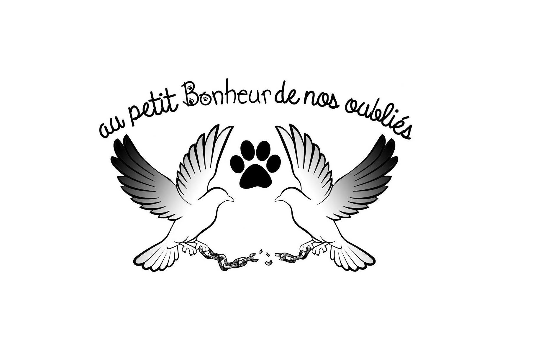 Image for Une prise en charge complète pour tous ces chiens dit irrécupérables